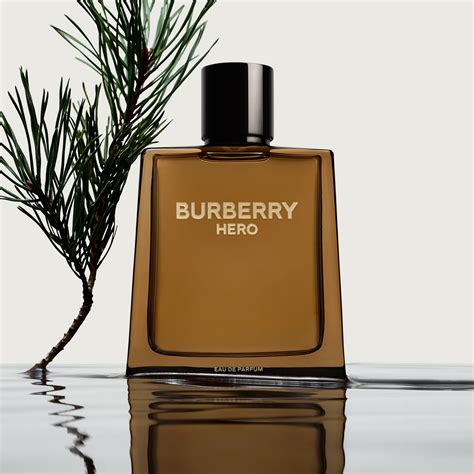 burberry perfume eau de cologne|best burberry cologne for men.